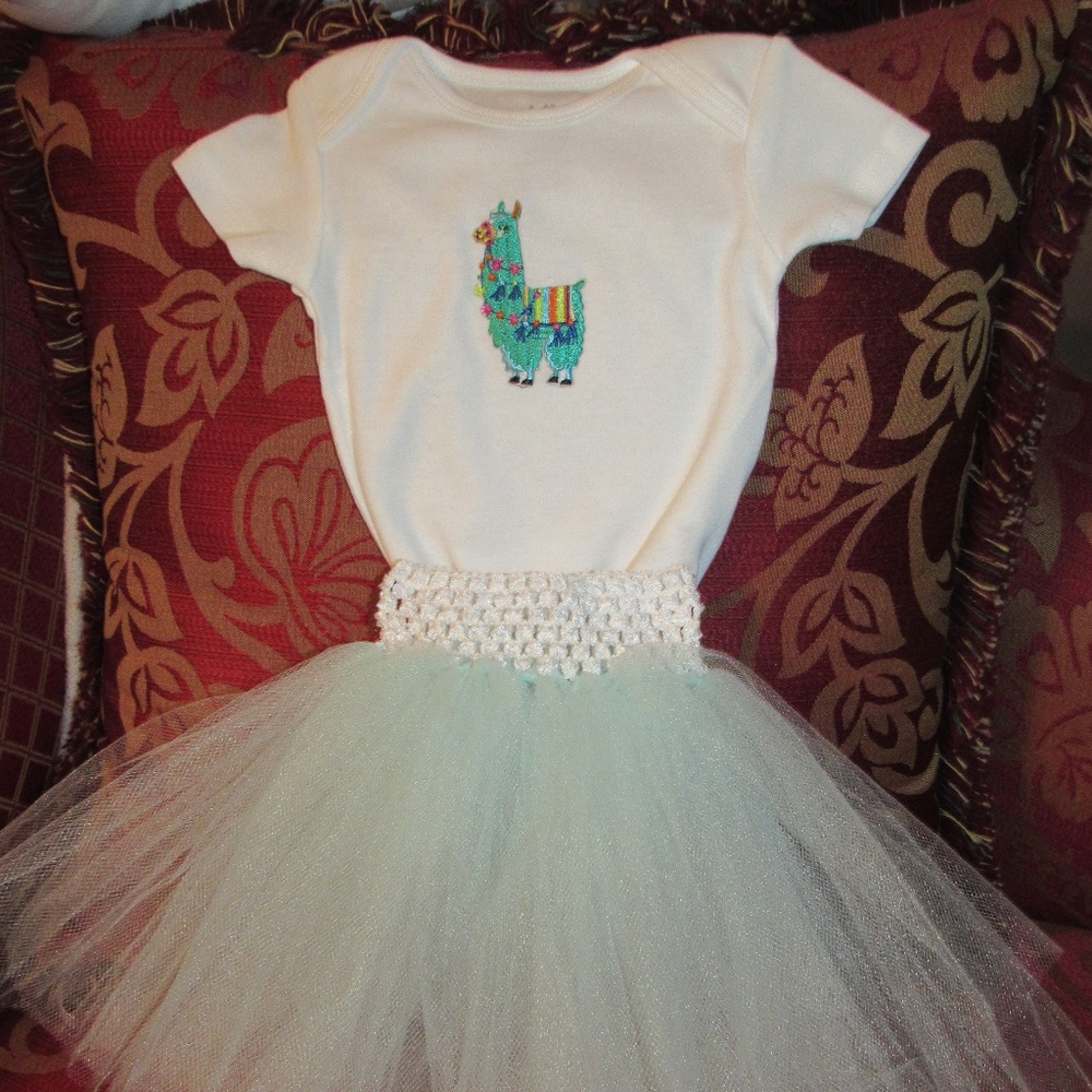 Baby Girl Onesie & TuTu, size 0-3 months.